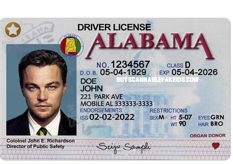 Fake Driver's License .